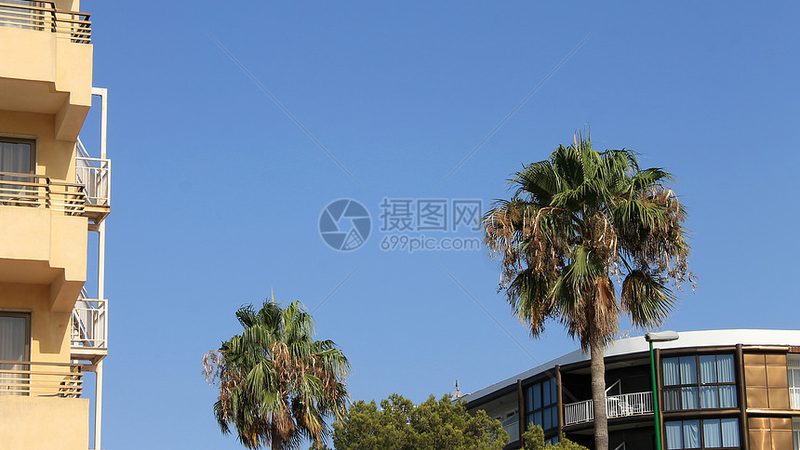 露营新宠：亲子露营推车选购攻略